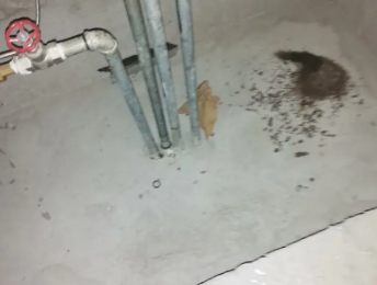 绵阳市卫生间测漏水价格明细